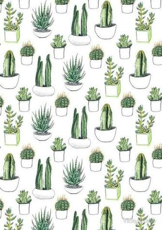 Cactus Wallpaper