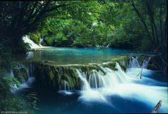 Scenery Beautiful