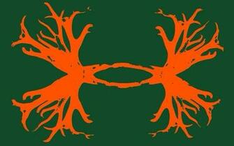 Under Armour Logo Hunting