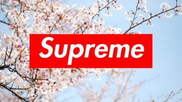 Supreme Laptop Wallpaper Top