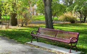 Park Bench Wallpaper