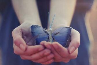 Butterfly Wings Hands HD Wallpaper