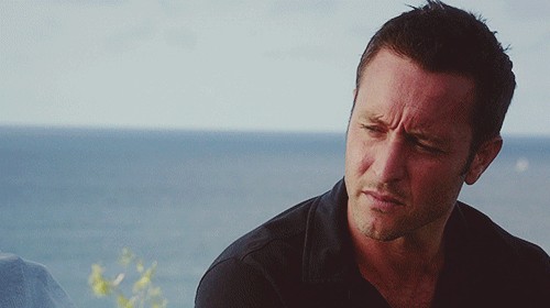 Hawaii Five Image Fan Art Wallpaper And