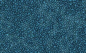 Blue Leopard Wallpaper HD