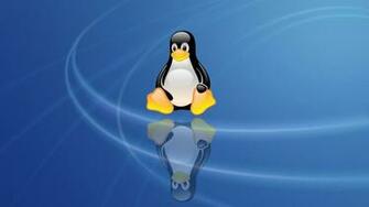 Tux Penguin Wallpaper At Wallpaperbro
