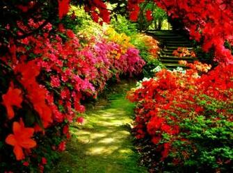 Better Homes And Gardens Desktop Wallpaper Best Background