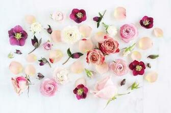 Digital Blooms February Aesthetic Desktop Wallpaper Flowers