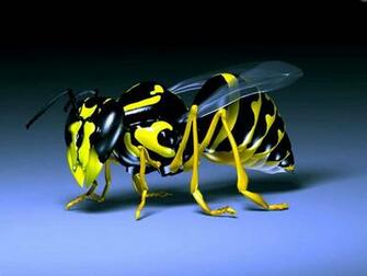 Wallpaper Are Still Related To 3d Bee Desktop At