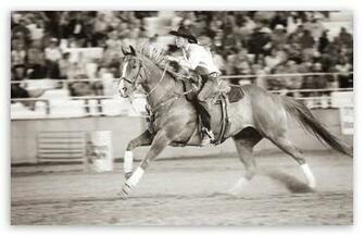 Barrel Racer HD Wallpaper For Standard Fullscreen Uxga Xga