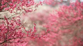 High Quality Texture Background Wallpaper Background By Click