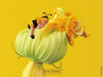 Fotos Anne Geddes Wallpaper Jpg