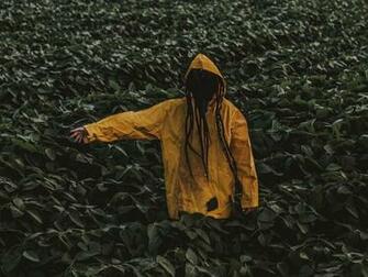 Hoodie Leaves Raincoat Green Wallpaper For