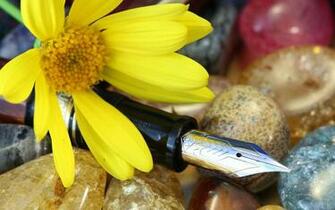 Fountain Pens HD Wallpaper