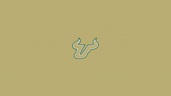 Thrilling Aerial Of The University South Florida Wallpaper