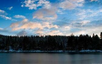 Wallpaper Stores Lake Forrest Photo