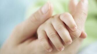 Hands Mother Wallpaper Macro