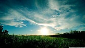 Sunny Day Summer Wallpaper