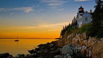 Gotta Go Tours By Patti Maine Moose Lobster And Whale Safari