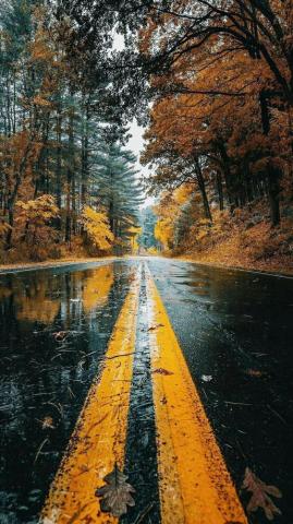Top Nature 4k Wallpaper Vertical Book