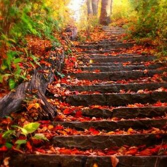Most Popular Beautiful Fall Background For Desktop Full HD