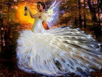 3d Art Fairy Background Wallpaper Here You Can See