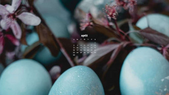April Wallpaper Bies For Desktop Phones