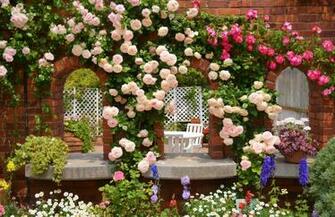 Rose Garden Desktop Background Hostelgarden Net