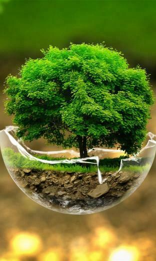 Green Nature Beautiful Tree Mobile Wallpaper Iwallpaper