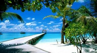 Beautiful Beach Image HD Nature Desktop Safari Wallpaper