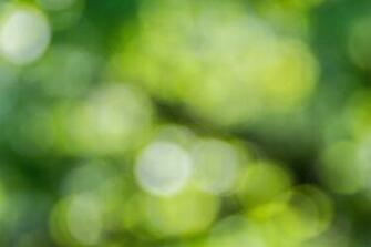Green Wallpaper HD Hq