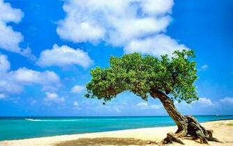 Aruba HD Wallpaper At Wallpaperbro