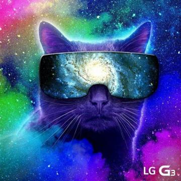 Cool Cat Wallpaper Sf For Your