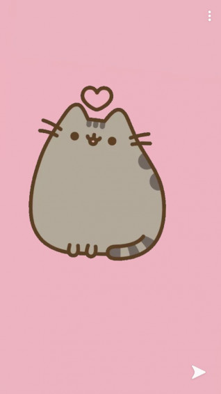 Simmy Pettet On My Little Loves In Pusheen Cute