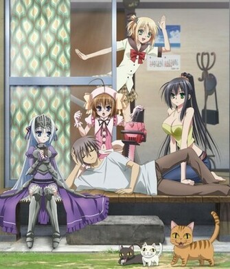 Desu Related Keywords Suggestions Long Tail