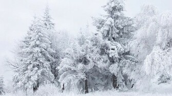 Snow Winter Fantasy Mac HD Wallpaper January Background Nature