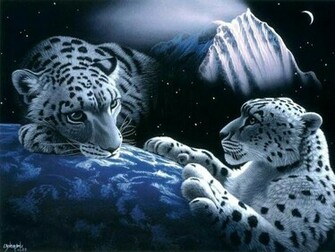 Animals Plannet White Tiger Wallpaper