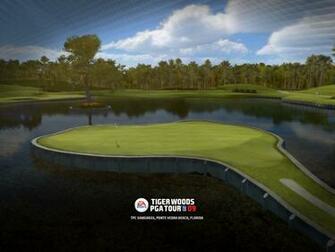 Tpc Sawgrass Tiger Woods Pga Tour Wallpaper