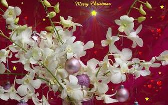 Wallpaper Widescreen Christmas