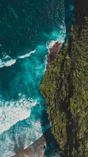 Reminiscing Summer With Sunny iPhone Xs Wallpaper