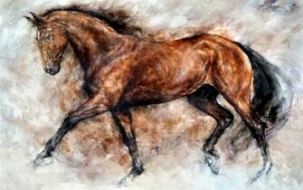 Pratiquer Le Dressage Cheval Wallpaper