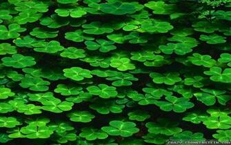 Happy Saint Patrick S Day T My Fans