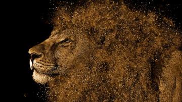 Photo Of Lion Art 4k Wallpaper Me Pixels