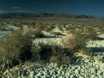 Death Valley National Park Nps Archive Wallpaper