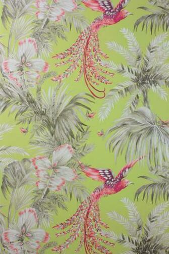 Matthew Williamson Osborne And Little Samana Bird Of Paradise