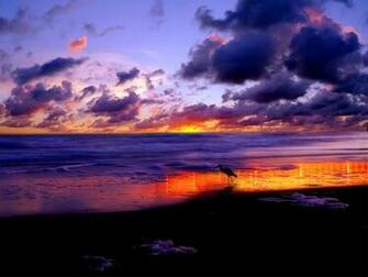 3d Nature Wallpaper For Desktop Cool