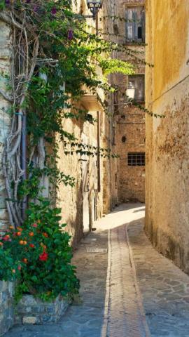 Nature Country Road Sunshine Architecture iPhone Wallpaper