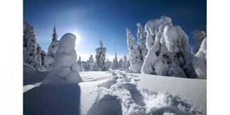 Schicke Winter Wallpaper Gratis Von Microsoft Windows