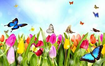 Dream Spring Time Wallpaper HD