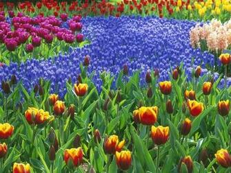 Spring Wallpaper
