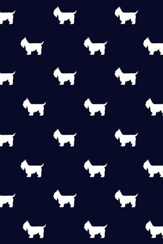 Fondo Schnauzer Fondos De Pantalla Perritos